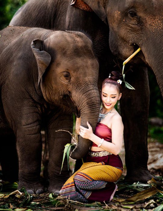 Thai Model and Elephants on a 5 Day Chiang Mai Photo Workshop