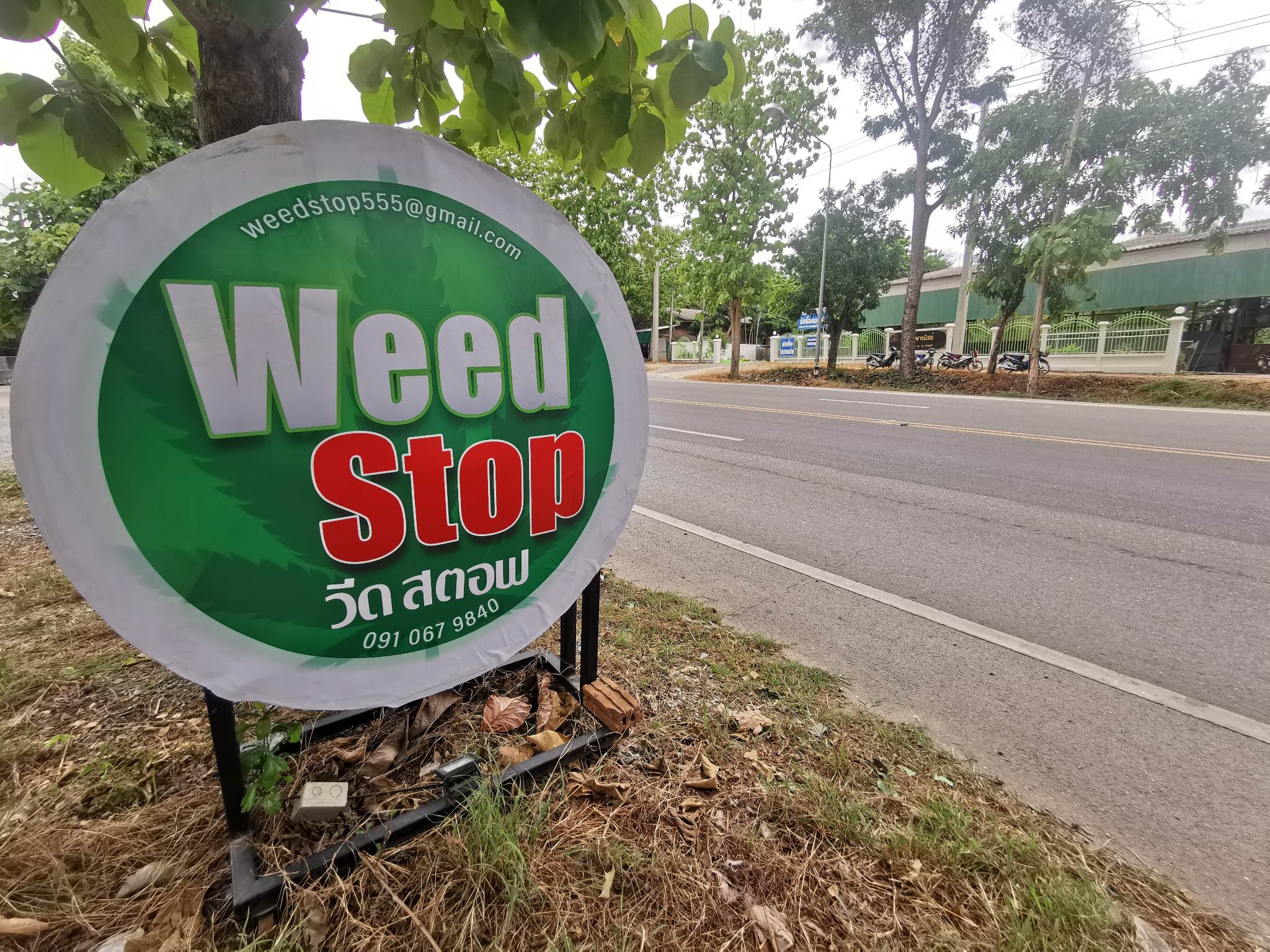 Weed Stop sign in Chom Thong for Doi Inthanon Cannabis