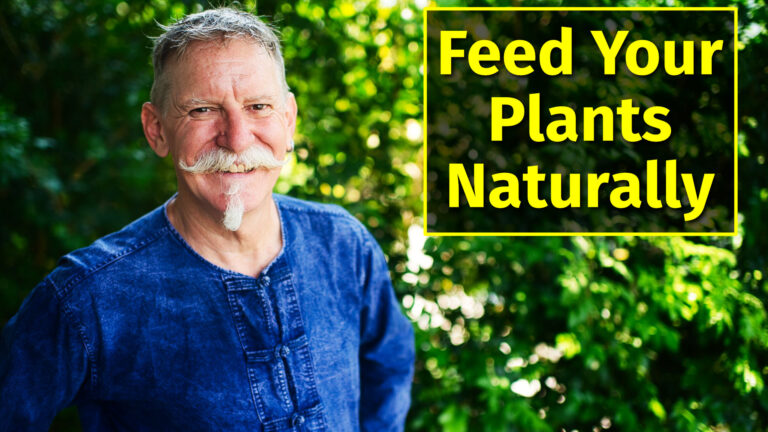 DIY Organic nutrients