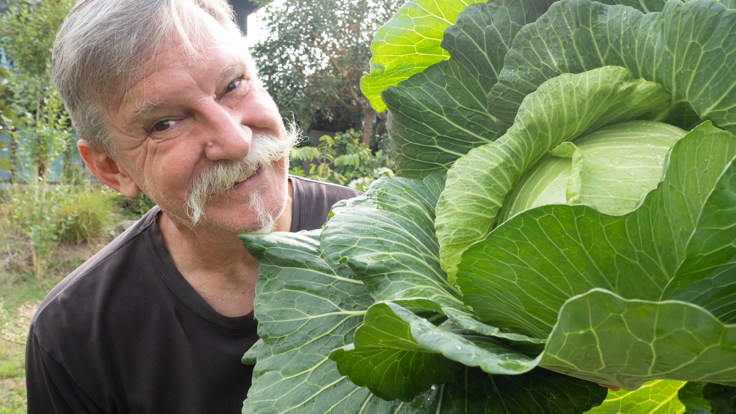 Kevin LJ with a Large Cabbage in his garden