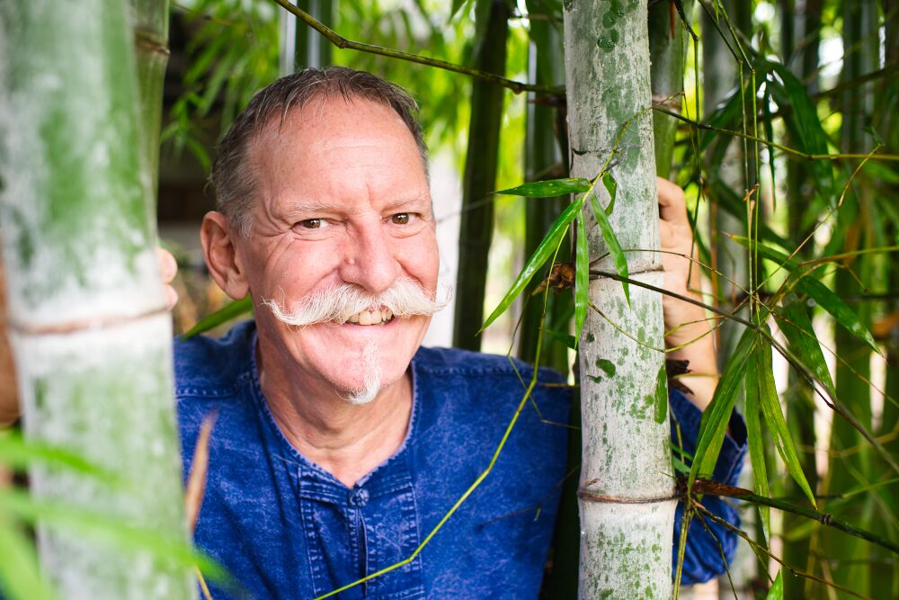 person standing in tall growing bamboo
